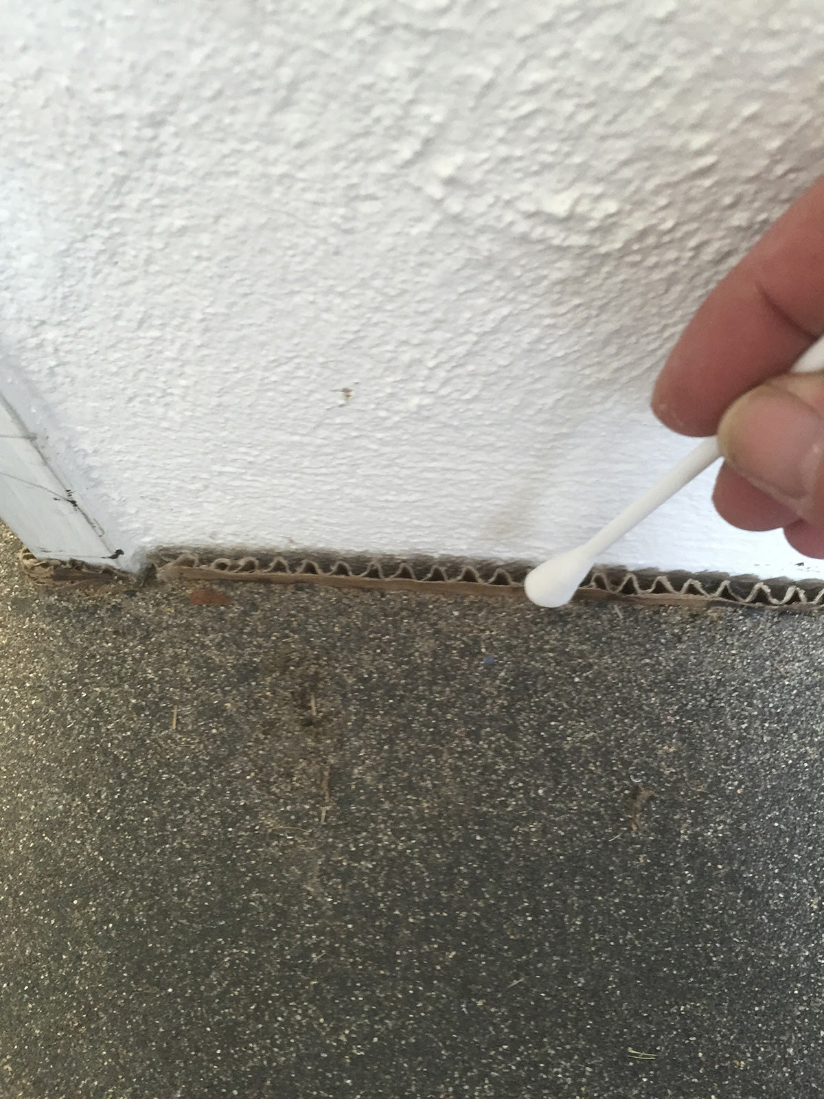 Trockentupfer - Packung mit 20 Stück