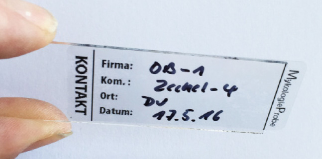 Objektträger aus Packung mit 50 Stück aus Glas 76 x 26 mm für Klebepräparate